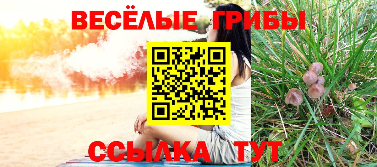 Галлюциногенные грибы Cubensis Алатырь