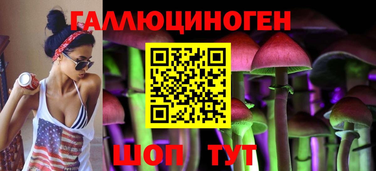 Псилоцибиновые грибы прущие грибы  Псилоцибиновые грибы Psilocybe  Вход с VPN  купить  сайты  Алатырь 